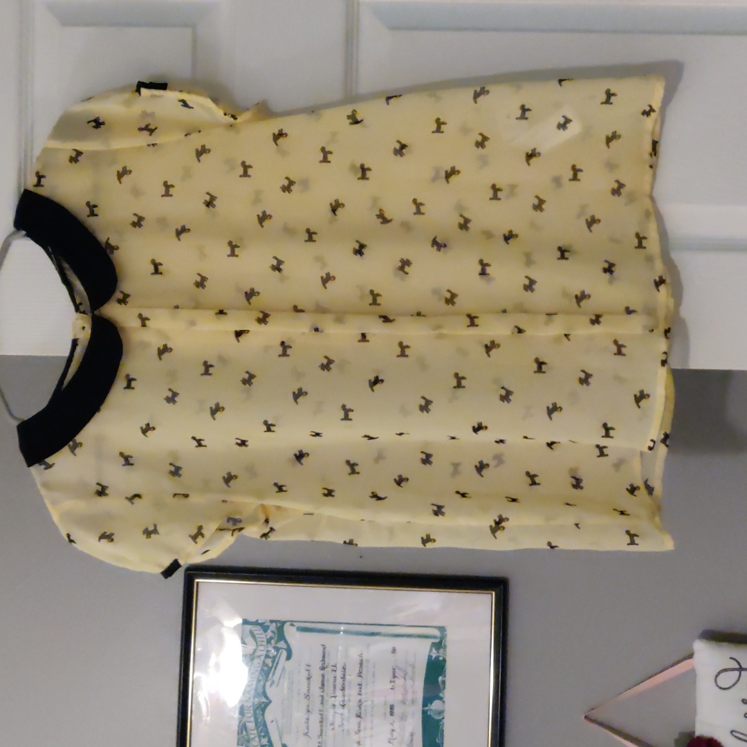 Zara Rare Shirt Nwot